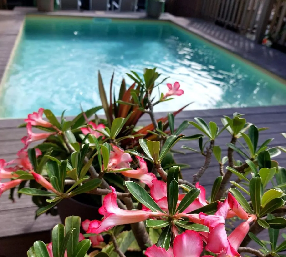 Appartement Cosy & Chill Avec Piscine - A Prix Reduit - A Saint Francois